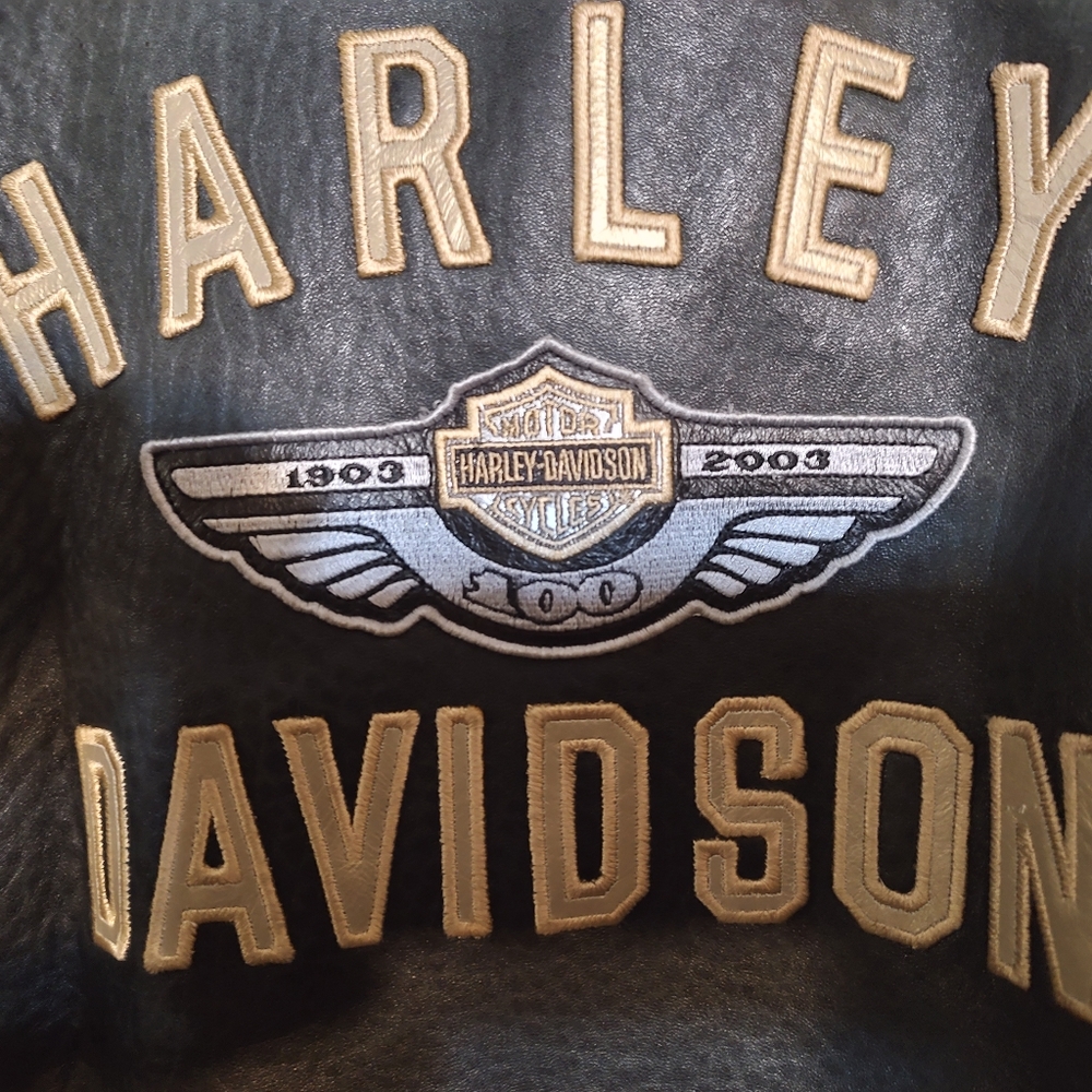 Women's Harley Davidson leather jacket